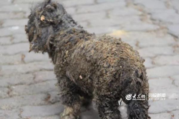 突發(fā)！青島一居民樓發(fā)生爆燃！已造1人死亡，7人受傷！3公里外有震感…